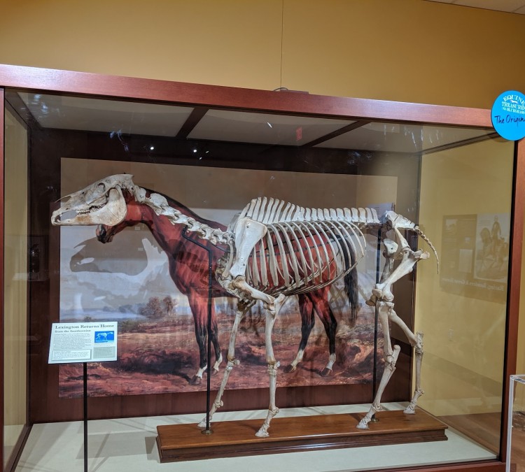 International Museum of the Horse (Lexington,&nbspKY)